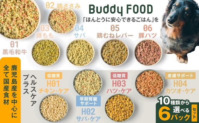 ＜選べるセット＞Buddy FOOD 10種類から選べる6パック　K390-001_11_SKU