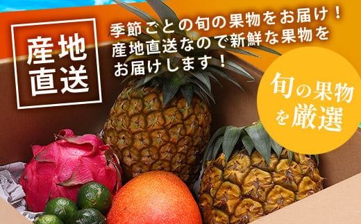 《2026年夏に順次発送予定》石垣島の夏「果物」詰め合わせ～夏のタカラモノ果物便～【 産地直送 沖縄 石垣 石垣島 くだもの トロピカルフルーツ 果物 南国 フルーツ 詰め合わせ フルーツ便 】SH-5