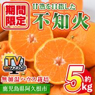 ＜先行予約受付中！2027年1月上旬以降順次発送予定＞ ＼テレビで紹介されました！／数量限定！鹿児島県産無加温ハウス栽培 不知火(計約5kg：大将季) 柑橘 果物 くだもの フルーツ 旬 しらぬい シラヌイ ハウス栽培 無加温 期間限定【三笠農業生産】akn051-12