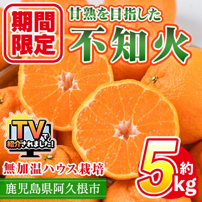 ＜先行予約受付中！2027年1月上旬以降順次発送予定＞ ＼テレビで紹介されました！／数量限定！鹿児島県産無加温ハウス栽培 不知火(計約5kg：大将季) 柑橘 果物 くだもの フルーツ 旬 しらぬい シラヌイ ハウス栽培 無加温 期間限定【三笠農業生産】akn051-12
