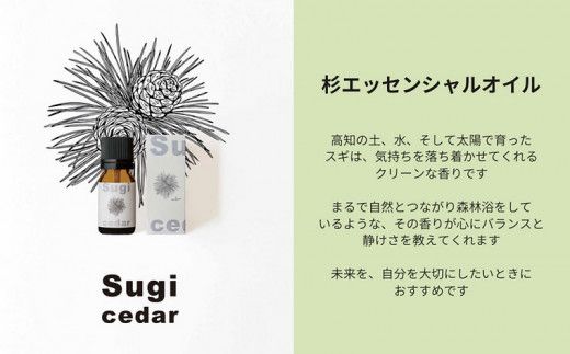 【MICIL（ミシル）】高知県産木材を使った天然成分100％の杉エッセンシャルオイル 8ml【有限会社戸田商行】 [BQCA002]