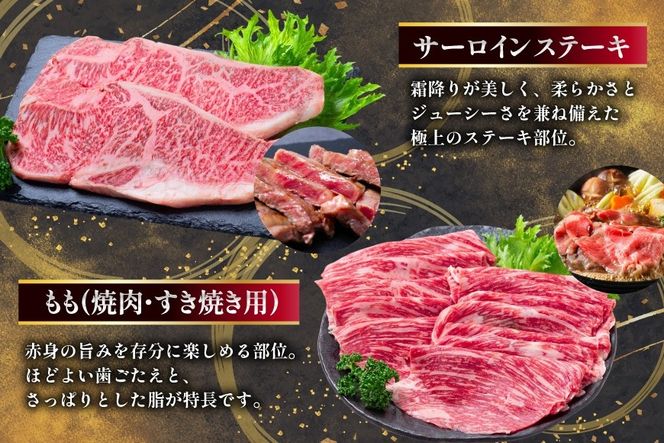 AJ670 【12回定期便】 長崎和牛 スタンダードコース [ 長崎和牛 定期便 和牛 お肉 肉 牛 牛肉 国産 ステーキ 焼肉 もも モモ バラ肉 スネ肉 ブロック ロース すき焼き しゃぶしゃぶ サーロイン カルビ ミンチ ひき肉 ヒレ トモサンカク シキンボ 水田精肉店 長崎県 島原市 ]