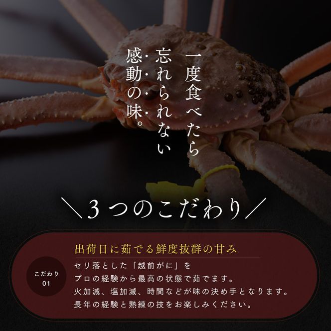 期間限定 茹で 越前ガニ 約1.3kg以上 1杯 食通もうなる本場の味をぜひ、ご堪能ください カニ 蟹 かに 茹でカニ 越前蟹 カニセット 魚介 魚介類 海鮮 海鮮セット 福井 福井県 若狭町