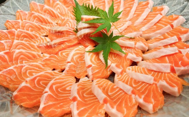 トラウトサーモン お刺身用 切身  200g×2パック / 刺身 海鮮 鮭 サーモン サケ さけ / 糸島市 / 塚本鮮魚店[ARO013]