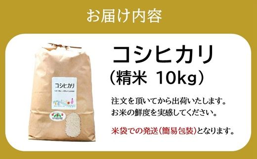 コシヒカリ＜特別栽培米＞精米 10㎏（減農薬 有機肥料 お米 米 おこめ こめ 白米 こしひかり 令和8年産）【002308D】