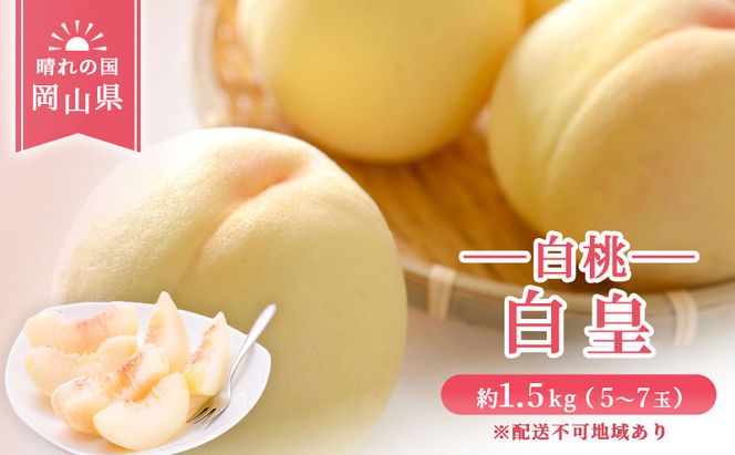 【 2026年 先行予約】 桃 岡山県産 白皇 （ 白桃 ） 約1.5kg （5～7玉） 白桃 岡山 はくとう スイーツ フルーツ 果物 先行予約 数量限定 期間限定 里庄町 モモ もも 