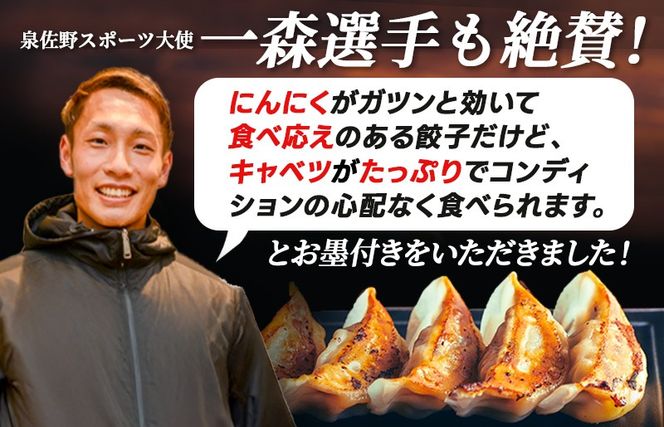 099H4138-1 【訳あり】泉州キャベツ餃子160粒【射手矢農園×李朝園 生餃子 手作り ぎょうざ ギョーザ 惣菜 冷凍 焼くだけ 簡単調理 フードロス削減】