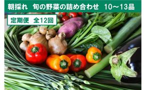 【12回定期便】【土佐野菜】旬の野菜詰め合わせ10～13品目【株式会社SIMA】 [BQAZ005]