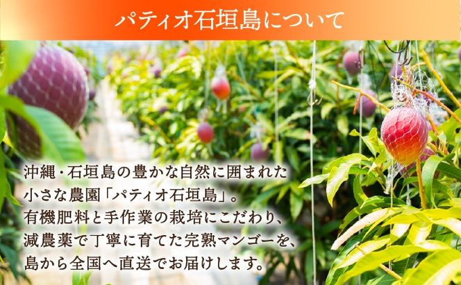 手作りコンフィチュール三種セット（完熟マンゴー、若いマンゴー、完熟パイン）PI-006