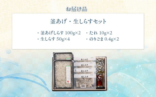 【網元直送】釜あげ・生しらすセット IKTB031