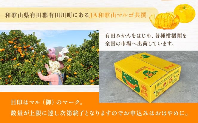 JA和歌山 マルゴ共撰 デコポン 24玉入り Lサイズ 5kg箱   CM02