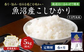 【6ヶ月定期便】魚沼産こしひかり(十日町地域) 精米 5kg 米 お米 コシヒカリ 定期 十日町市