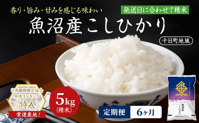 【6ヶ月定期便】魚沼産こしひかり(十日町地域) 精米 5kg 米 お米 コシヒカリ 定期 十日町市