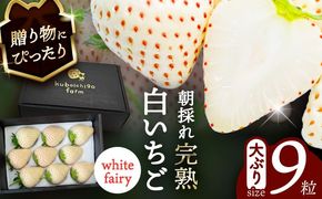 【先行予約】 ＼毎年1月より順次発送／ 白いちご　White Fairy 9粒 愛西市 / くぼ苺農園 【配達不可：北海道・沖縄・離島】[AECJ016]