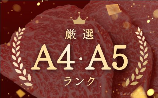 【近江牛　毛利志満】近江牛焼肉3点盛セット　【450ｇ】【S034W】（国産牛　和牛　ブランド牛　ブランド和牛　黒毛和牛　牛肉　肉　高級　人気　おすすめ　神戸牛　松阪牛 に並ぶ 日本三大和牛 近江牛）