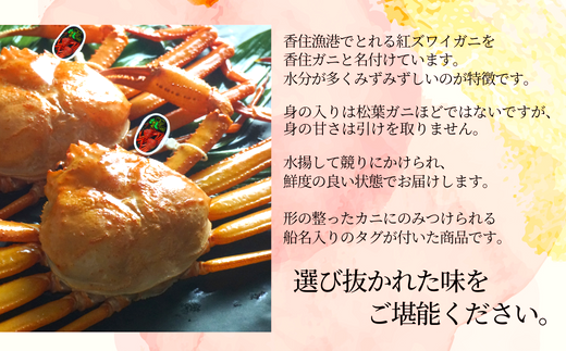 【活〆 タグ付き 香住ガニ 特々大 約1.0kg×2匹（合計約2.0kg以上）冷凍】【令和8年2月中旬以降発送予定】 大人気 返礼品 おすすめ ランキング 国産 カニ かに 蟹 本場 香住 急速冷凍 ベニズワイガニ しゃぶしゃぶ 刺身 かにすき 焼きガニ ふるさと納税 兵庫県 香美町 日本海フーズ 40000円 KMG 07-114