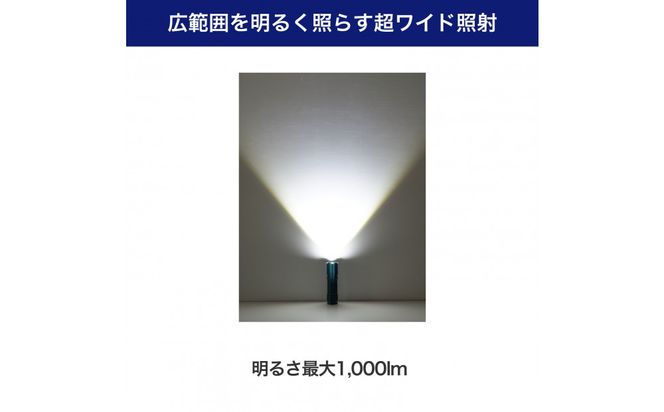 大光量アルミライト1000LM　DOP-EP1000 272183_AZ170