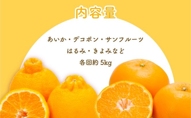 【定期便】2026年度 佐田岬の柑橘定期便（年4回）柑橘 定期 各5kg 愛媛県産（12月、2月、4月、6月発送）※離島への配送不可 IKTBD018