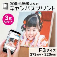 キャンバスプリント F3サイズ 3枚セット フォト 写真 パネル オーダー 印刷 アート ファブリックパネル インテリア
