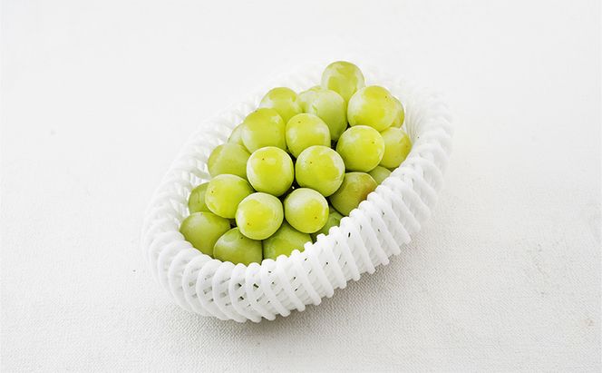 ぶどう 2026年 先行予約 マスカット・オブ・アレキサンドリア 特秀品 1房（1房700g以上）化粧箱入り 葡萄 岡山県産 国産 フルーツ 果物 ギフト 果実 上品 高級