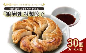 ボリューム満点 手作り冷凍餃子 30個（4～6人前）(15個×2袋)［錦華園］【 野菜 キャベツ たっぷり 厚い 手包み 手作り もちもち モチモチ 汁 町中華 中華 北海道 十勝 幕別 】