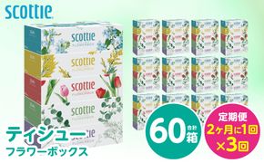 【定期便3回】【2ヶ月に1回お届け】【スコッティ】 ティシュー フラワーボックス 250組 60箱 計180箱 ティッシュ 日用品 生活必需品 消耗品 紙 まとめ買い ストック 備蓄 防災備蓄 新生活 防災 生活用品 日用消耗品 箱ティッシュ