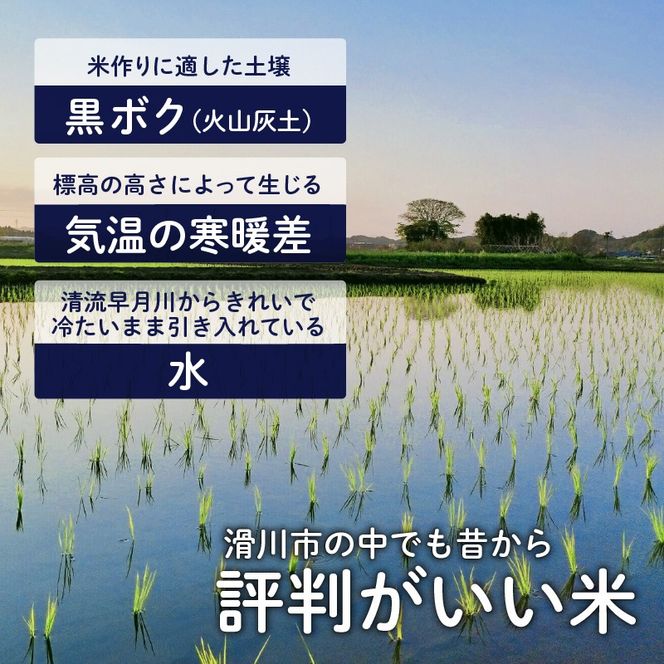 滑川産コシヒカリ（精米5kg）【通年発送】[A-007005]