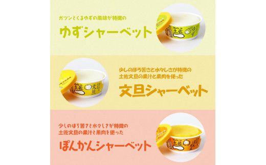 【CF-R7hbk】TKA015　おいしいんだもの 高知アイスセット／高知の素材にこだわった人気アイスのアソートセットです。故郷納税 11000円 2022 食べ物 ギフト 詰め合わせ シャーベット スイーツ お菓子 プレゼント 濃厚 バニラ アイスクリーム 塩 いちご 苺 お茶 文旦 ゆず