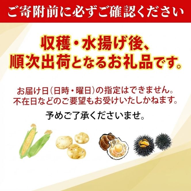 北海道 とうもろこし 恵味ゴールド 約5kg 11本入り 2027年8月11日～31日頃お届け トウモロコシ コーン 甘い 産地直送 BBQ とうきび 国産 人気 バーベキュー 焼きとうもろこし お取り寄せ 北海道産 洞爺湖町 