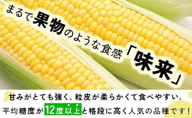 ＜先行予約＞【2026年発送】北海道産 とうもろこし 味来 L～LLサイズ 20本入り【55250823】トウモロコシ みらい ミライ とうきび スイート イエロー コーン 旬 新鮮 朝もぎ 農作物 甘い お取り寄せ 産地直送 送料無料