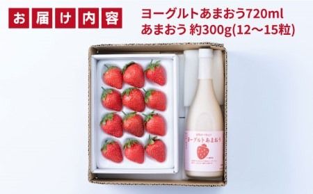 ヨーグルトあまおう720ml×あまおうギフト箱入り （12-15粒） 糸島市 / 南国フルーツ株式会社 [AIK017]