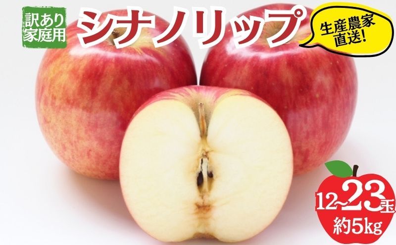 [レビューCP実施中][2026年8月発送]シナノリップ 訳あり家庭用 約5kg 12〜23玉 りんご 果物 訳あり 信州 長野