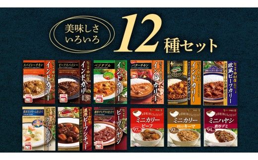 【 定期便 全6回 隔月 お届け 】 新宿 中村屋 レトルト 食べ比べ セット ( Aセット 12種 ) 人気 詰合せ 洋食 時短 カレー インドカレー ビーフカレー 欧風カレー 数量限定 贈答品 保存用 ストック用 非常用 老舗 電子レンジ 調理可 [DM005us] レンチン レンジ 