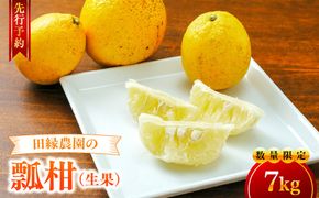 【先行予約】【数量限定】田縁農園の瓢柑（生果）7kg （2027年4月1日より順次発送） IKTA023