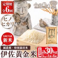 isa602 《数量限定・6回定期便》令和7年産 小北農場の新米 伊佐黄金米〈ヒノヒカリ〉(計30kg・5kg×1袋×6回) 鹿児島 伊佐 新米 お米 特別栽培米 伊佐米 白米 ヒノヒカリ ひのひかり おにぎり ごはん 【小北農場】