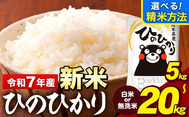 令和7年産 ひのひかり 選べる精米方法 白米 or 無洗米 5kg 10kg 15kg 20kg 《7-14日以内に出荷予定(土日祝除く)》  熊本県産 米 精米 ひの 熊本県 大津町---oz_hn7_wx_12500_5kg_h---