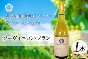 ワイン 白ワイン ソーヴィニヨン・ブラン 750ml 1本 [ヴィニョブル安曇野 長野県 池田町 48110838] 白ワイン 白 わいん お酒 酒 Wine ソーヴィニヨン 辛口 長野 長野県産