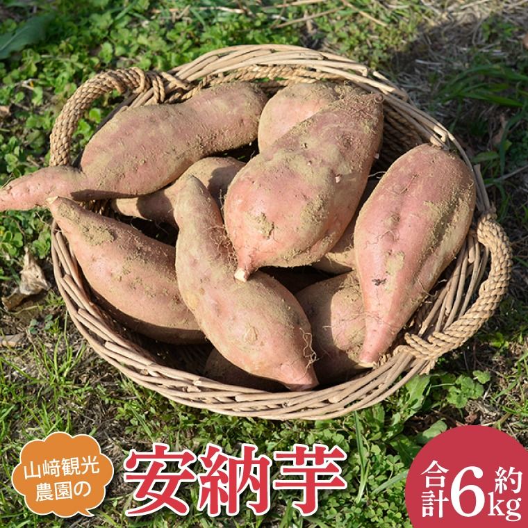 ＼濃厚な甘さの蜜芋/山﨑観光農園の安納芋 約6kg |栃木県 益子町 ふるさと納税 里山 熟成 さつまいも 糖化熟成さつまいも 安納芋 プレミアム 蜜芋