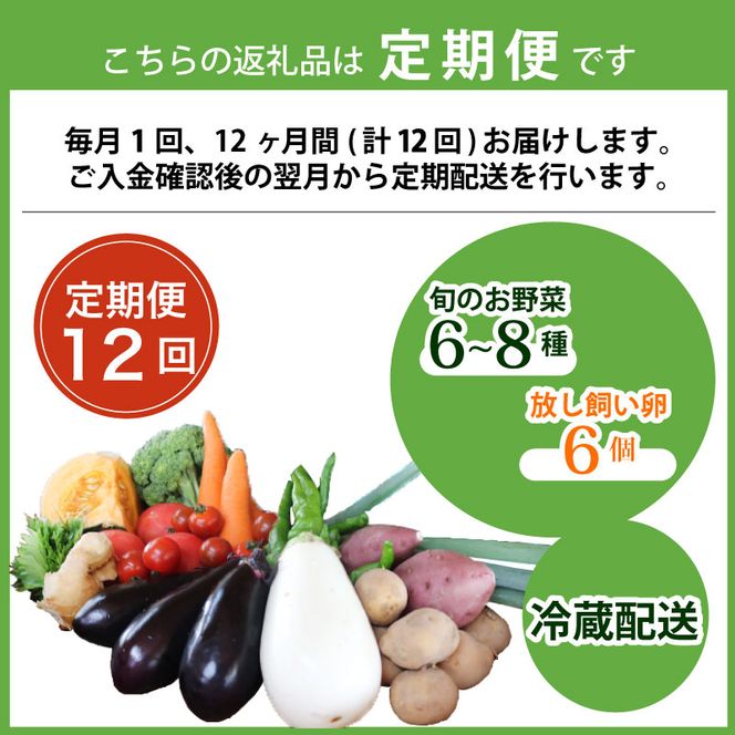 【毎月定期便】【産地直送】旬のお野菜詰め合わせ 京野菜セット8種類 平飼い卵 6個付き全12回