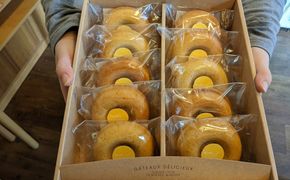 【はなまるこ】焼ドーナツ（はちみつ）10個入り スイーツ お菓子 