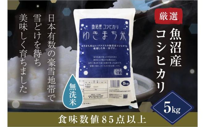 令和8年産米 先行予約 新米 極上魚沼産コシヒカリ 令和8年産米 5kg 無洗米 ゆきまち米＜令和8年10月下旬～順次発送＞