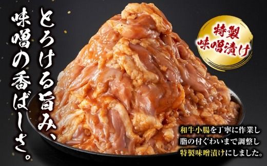 トロホルモン 味噌漬け 1.5kg ( 300g × 5 ) プリプリ 小分け 使いやすい 味付き 調理便利 野菜炒め ホルモン炒め 訳あり 不揃い 和牛 小腸 冷凍 配送時期が選べる 個包装 冷凍保存 アウトドア キャンプ おすすめ 人気