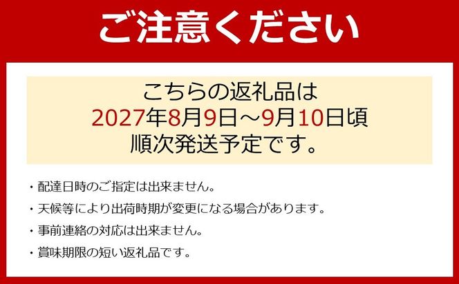 ［先行予約］［数量限定］希少なぶどう「BKシードレス」約1.5kg★2027年8月上旬頃より順次発送 BZ081