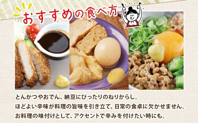  美ノ久 ねりからし 110g×1本 調味料 カラシ 練りからし 練からし チューブタイプ アレンジ 辛味 爽やか 合わせやすい スパイス コク とんかつ おでん 納豆 低粘度 常備 かけるだけ アクセント お取り寄せ ご当地 送料無料 岐阜県 安八町