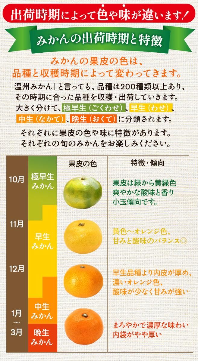 〈定期便〉【10・11・12月 全3回】家庭用 有田みかん定期便 10kg+250g（傷み補償分）※北海道・沖縄・離島への配送不可