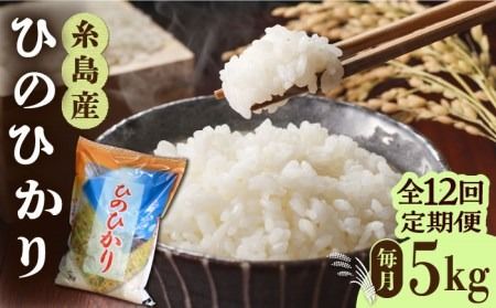 【全12回定期便】糸島産 ひのひかり 5kg × 12回 糸島市 / 三島商店 [AIM010] 米 白米