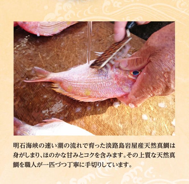 淡路島「天然岩屋鯛」しゃぶしゃぶセット(約3人前)【お届け日指定返礼品】