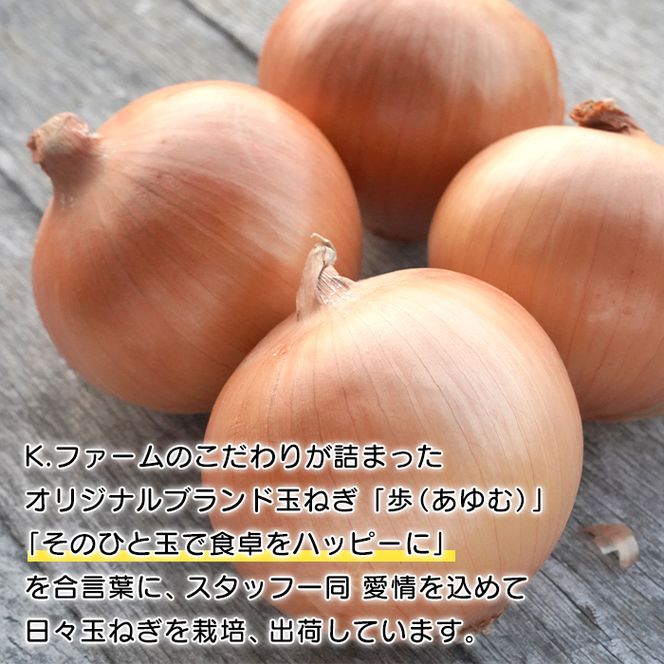 【定期便12ヶ月】淡路島たまねぎ 歩-AYUMU- 5kg　玉ねぎ
