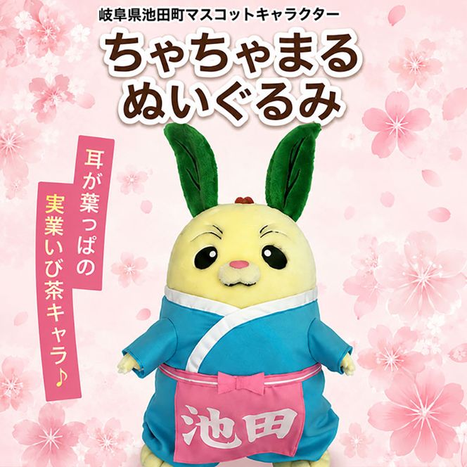 池田町マスコットキャラクター「ちゃちゃまる」ぬいぐるみ 耳 特産品 美濃いび茶 葉っぱ 頭 国 名勝天然記念物 霞間ヶ渓 桜 髪飾り かわいい 
