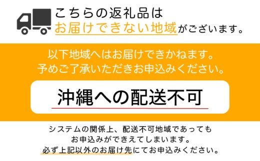 フランスベッド電動リクライニングGS-01F（2モーター：背上げ・脚上げ／3モーター：背上げ・脚上げ・上下昇降）マットレス付き　脚付きタイプ／キャスタータイプ（シングル）
